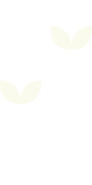 sekil